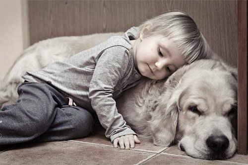 Ребенок и собака