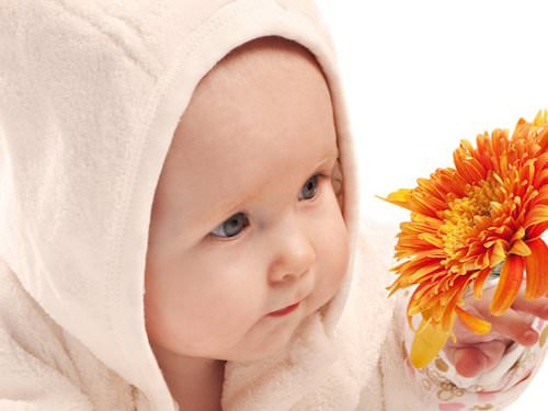Малыш и цветы